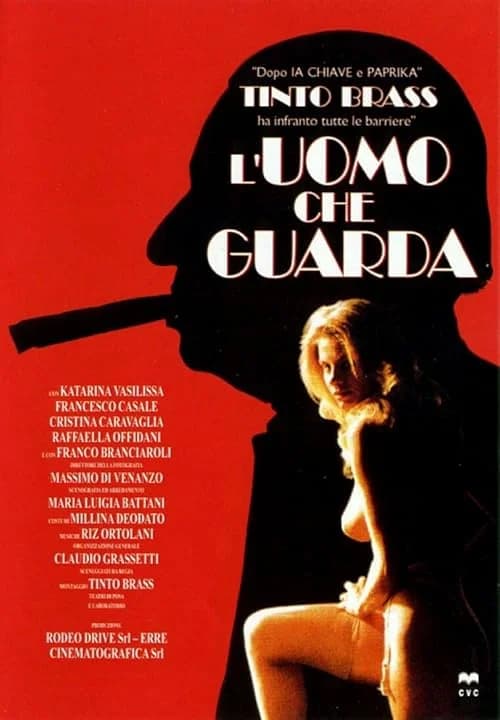 The Voyeur film posteri